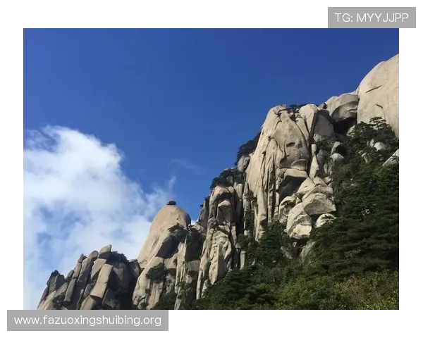 manbetx万博亚洲平台的手机客户端使用体验与操作指南介绍