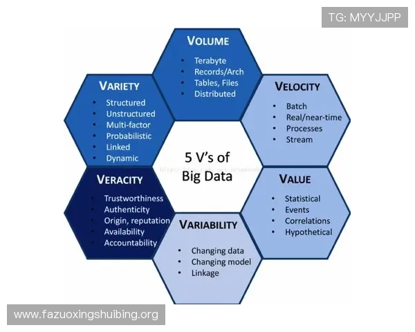 万博官网信誉度评估标准，专业分析平台可信赖程度的实用指南