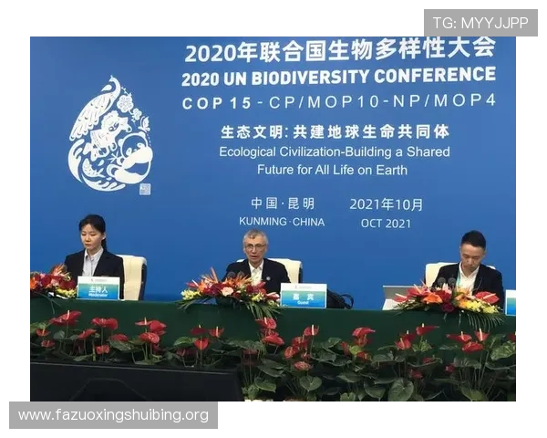 万博这个网站如何评价其博彩产品的多样性和公平性